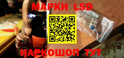 шишки Тверь