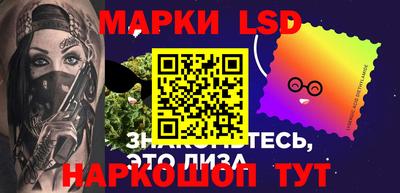 шишки Тверь