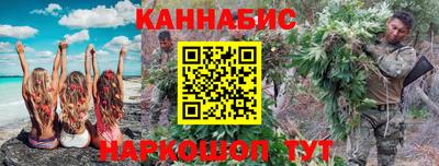 шишки Тверь