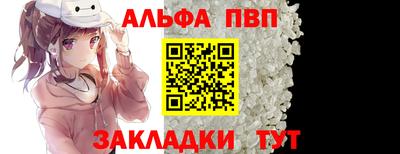 шишки Тверь