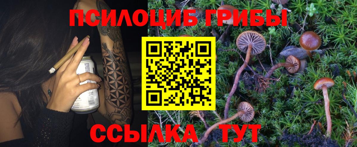 Галлюциногенные грибы GOLDEN TEACHER Артёмовский