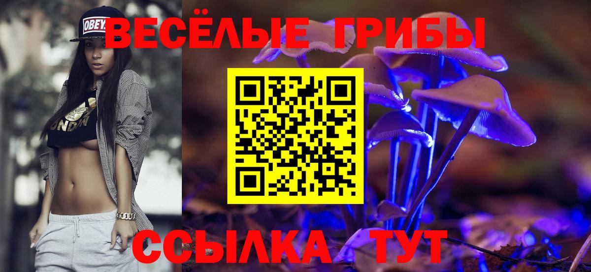 сколько стоит  Псилоцибиновые грибы мухоморы  Вход с VPN  Артёмовский 